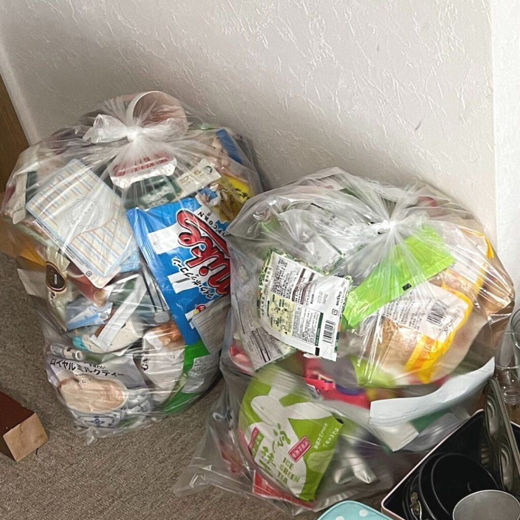 断捨離して出たゴミ