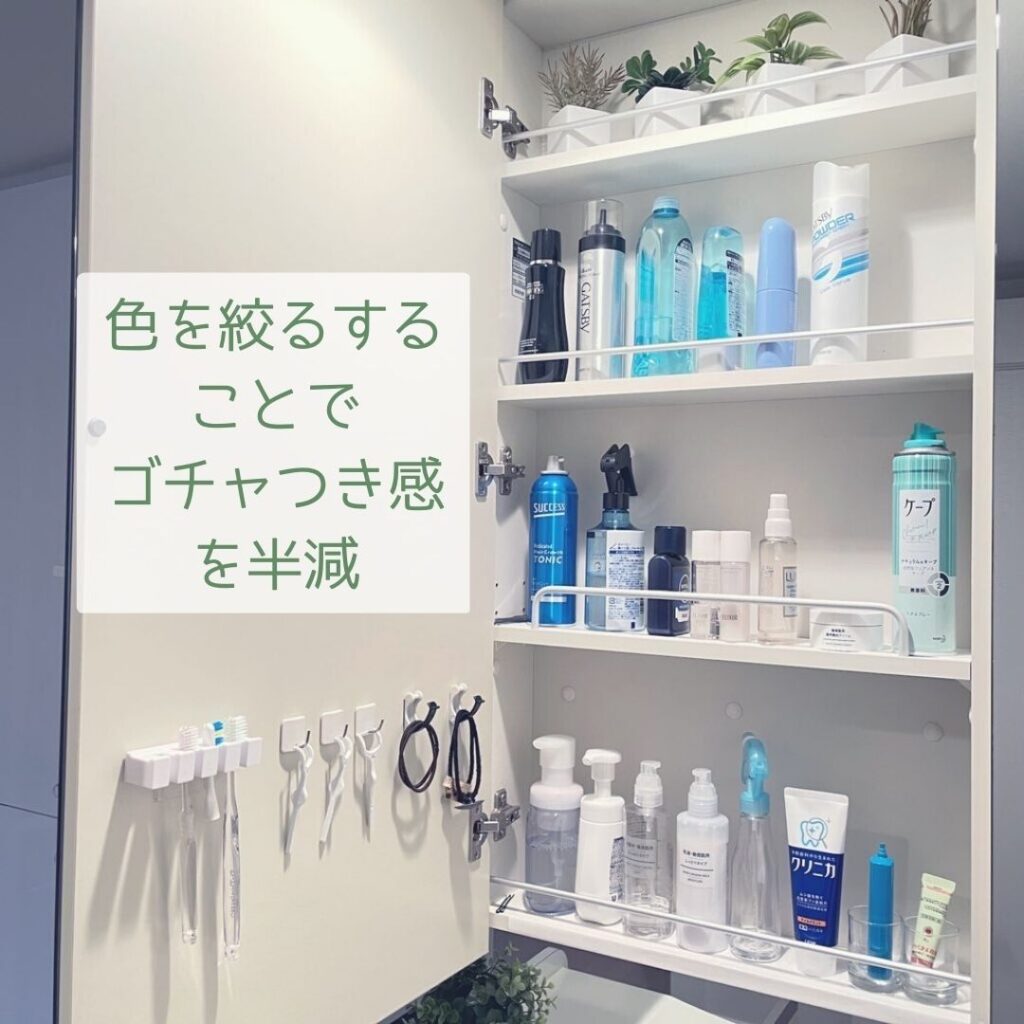 洗面所/鏡裏の収納